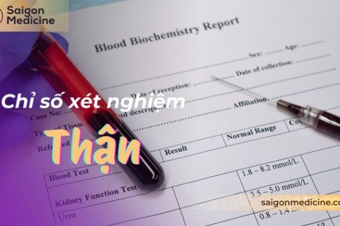 Các Chỉ Số Xét Nghiệm Chức Năng Thận: Nhận Biết Để Bảo Vệ 