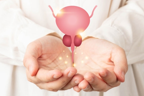 MỐI LIÊN HỆ GIỮA TUYẾN TIỀN LIỆT VÀ SỨC KHỎE NAM GIỚI
