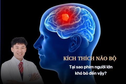 Siêu Kích Thích và Não Bộ: Tác Động của Phim Người Lớn và Thực Phẩm Chế Biến Sẵn