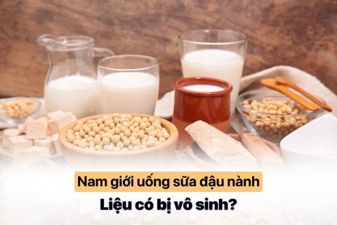 Sữa Đậu Nành Có Bị Gán Mác: "Gây Vô Sinh Cho Nam"? 