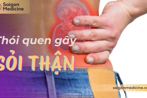 9 Thói Quen Gây Sỏi Thận Thường Gặp