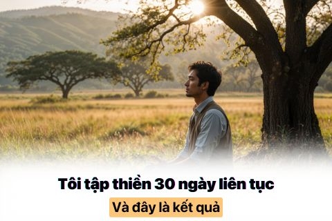 Hành Trình 30 Ngày Thiền Định: Kết Quả Vượt Mong Đợi