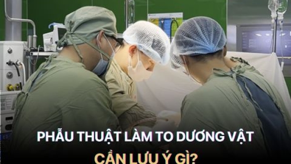 Làm To Dương Vật Dưới Góc Nhìn CHUẨN Y Khoa