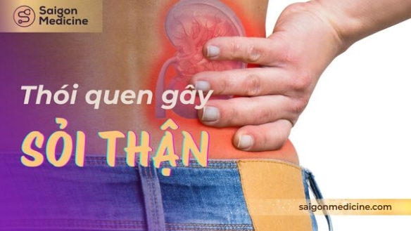 9 Thói Quen Gây Sỏi Thận Thường Gặp