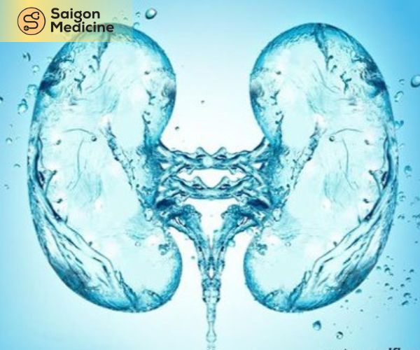 Uống nhiều nước để đẩy sỏi nhỏ qua đường nước tiểu