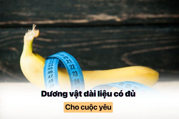 Dương vật dài liệu có đủ cho một cuộc yêu